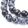 Natural Snowflake Obsidian Beads Strands GSR10mmC009-2