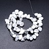 Howlite Beads Strands G-O050-03-2