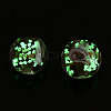 Luminous Handmade Gold Sand Lampwork Beads LAMP-T021-03B-3