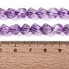 Crackle Transparent Glass Beads Strands GLAA-N068-02A-06-5