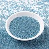 MIYUKI Round Rocailles Beads SEED-X0054-RR0279-3
