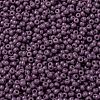 MIYUKI Round Rocailles Beads SEED-JP0009-RR4489-3