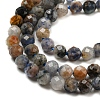 Natural Sodalite Beads Strands G-A097-A12-03-4