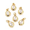 5Pcs Brass Micro Pave Cubic Zirconia Charms ZIRC-SZ0002-15A-1