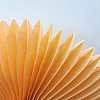 Paper Fan AJEW-WH0005-25cm-12-1