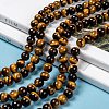 Natural Tiger Eye Beads Strands G-J303-11-8mm-5