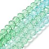 Transparent Painted Glass Beads Strands DGLA-A034-T6mm-A16-2