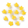 Transparent Acrylic Beads PLF018-19-2