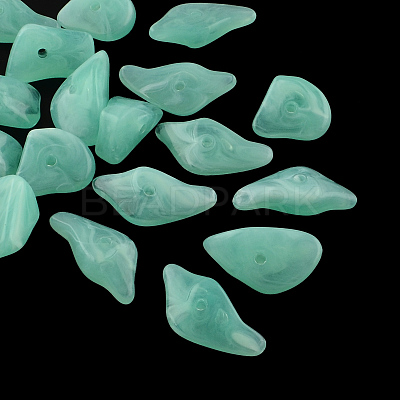 Chip Imitation Gemstone Acrylic Beads OACR-R021-19-1