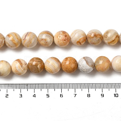 Natural Crazy Lace Agate Beads Strands G-H298-A12-05-1