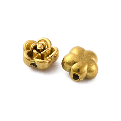 304 Stainless Steel Beads LS-STAS-H235-06A-G-1