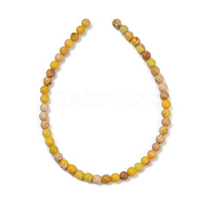 Dyed Natural Regalite/Imperial Jasper/Sea Sediment Jasper Beads Strands G-B124-C04-04-1
