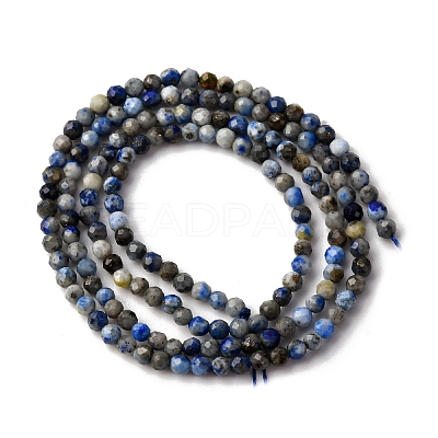 Natural Lapis Lazuli Beads Strands G-L629-B01-2mm-03-1
