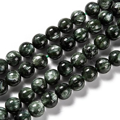 Natural Seraphinite Beads Strands G-E557-22D-1
