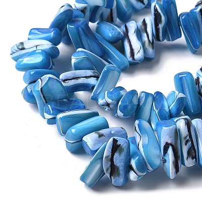 Dyed Natural Trochus Shell Beads Strands SSHEL-C013-09F-1