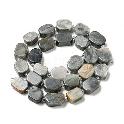Natural Eagle Eye Stone Beads Strands G-G072-B01-01-1