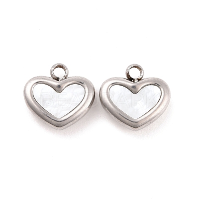 304 Stainless Steel Pendants STAS-D188-07P-1