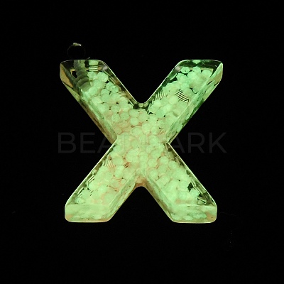 Luminous Resin Pendants X1-RESI-I059-X01-1