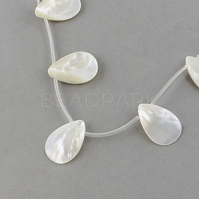 Natural Sea Shell Beads Strands SSHEL-Q296-01-1