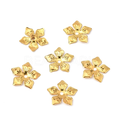 5-Petal Iron Bead Caps IFIN-WH0070-10G-1