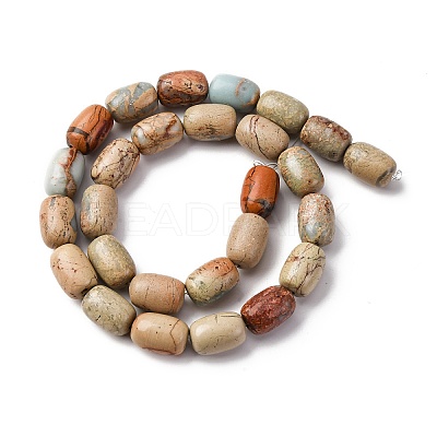 Natural Aqua Terra Jasper Beads Strands G-L624-C03-14x10mm-1