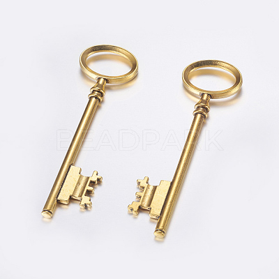 Tibetan Style Alloy Skeleton Key Large Pendants TIBEP-S105-AG-RS-1