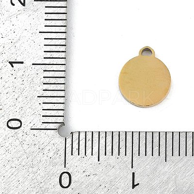 304 Stainless Steel Enamel Charms STAS-I325-063G-02-1