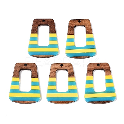 Epoxy Resin & Walnut Wood Pendants RESI-N039-121S-1