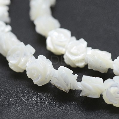 Natural White Shell Beads Strands SSHEL-P015-01A-12mm-1