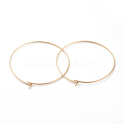 316 Surgical Stainless Steel Hoop Earring Findings X-STAS-J025-01F-G-1