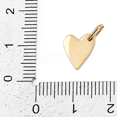 304 Stainless Steel Charms STAS-L291-01G-T-1