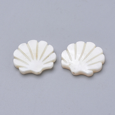Natural Freshwater Shell Beads X-SHEL-T007-03-1