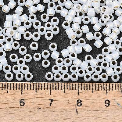 TOHO 8/0 Round Beads X-SEED-TR08-2100-1