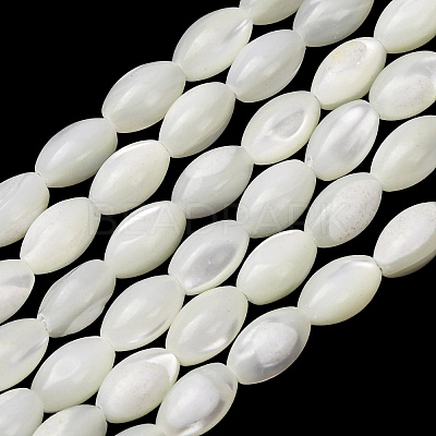 Natural Trochid Shell/Trochus Shell Beads Strands SH-CBA2978-09-1
