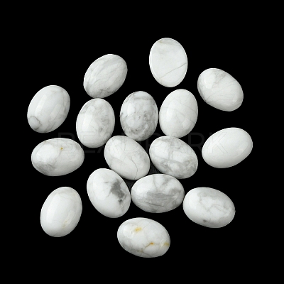 Natural Howlite Cabochons G-A094-01B-60-1