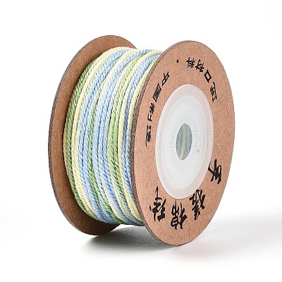 30M Segment Dyed Macrame Cotton Cord OCOR-T018-01S-1