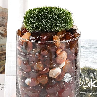 Dyed & Heated Natural Agate Beads X1-G-J402-04C-02-1