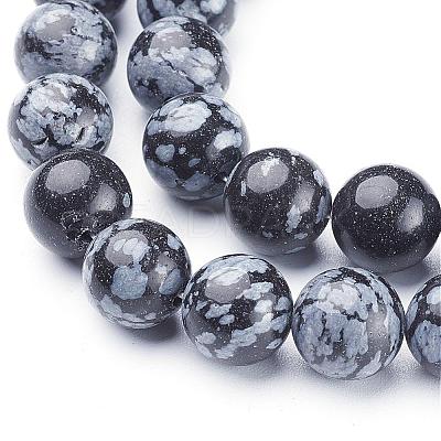 Natural Snowflake Obsidian Beads Strands GSR10mmC009-1