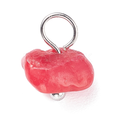 Natural Chip Dyed Shell Charms PALLOY-JF01338-03-1