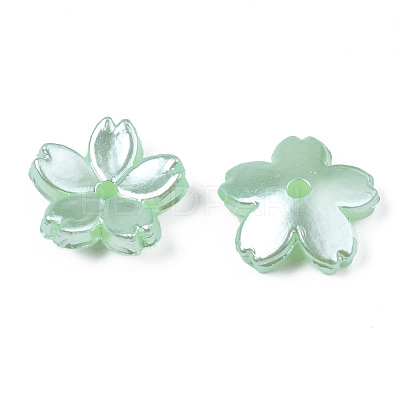 Acrylic Imitation Pearl Beads OACR-N012-002F-1
