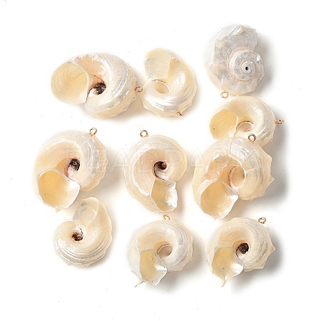 Natural Sea Shell Pendants X-SSHEL-C013-03-1