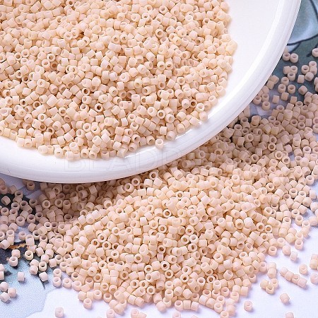 MIYUKI Delica Beads X-SEED-J020-DB0354-1
