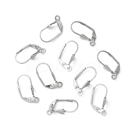 Tarnish Resistant 304 Stainless Steel Leverback Earring Findings X-STAS-E007-2-1