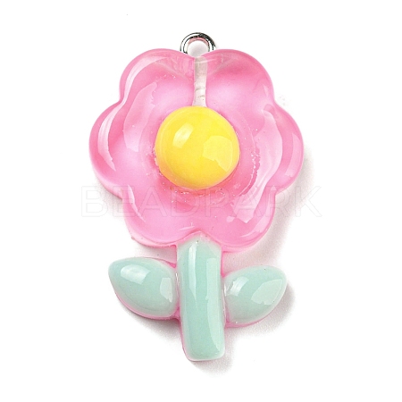 Translucent Resin Pendants RESI-G078-01H-1