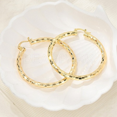 Brass Hoop Earrings EJEW-B117-06E-G-1