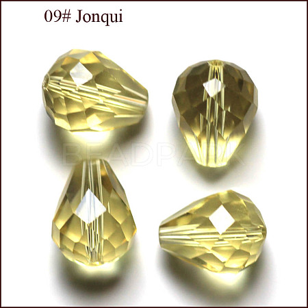 Imitation Austrian Crystal Beads SWAR-F062-8x6mm-09-1
