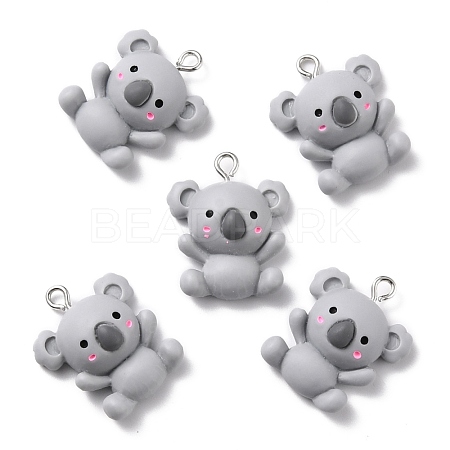 Resin Pendants X-RESI-C002-13-1