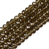 Glass Beads Strands EGLA-A034-T10mm-D16-1