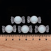 Transparent Acrylic Beads TACR-S152-13C-A07-4