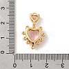 Brass Glass Charms KK-P340-02G-02-3